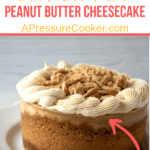 peanut butter cheesecake on white plate