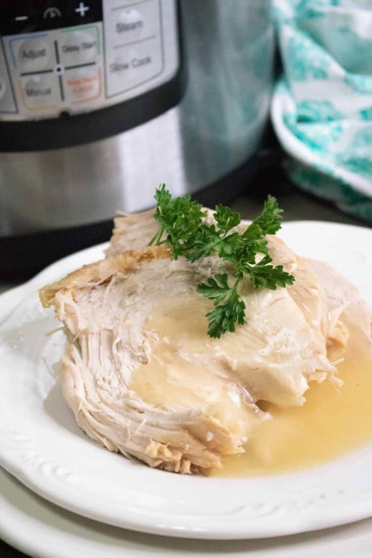 sliced turkey breast with gravy and parsley on top on a white plate