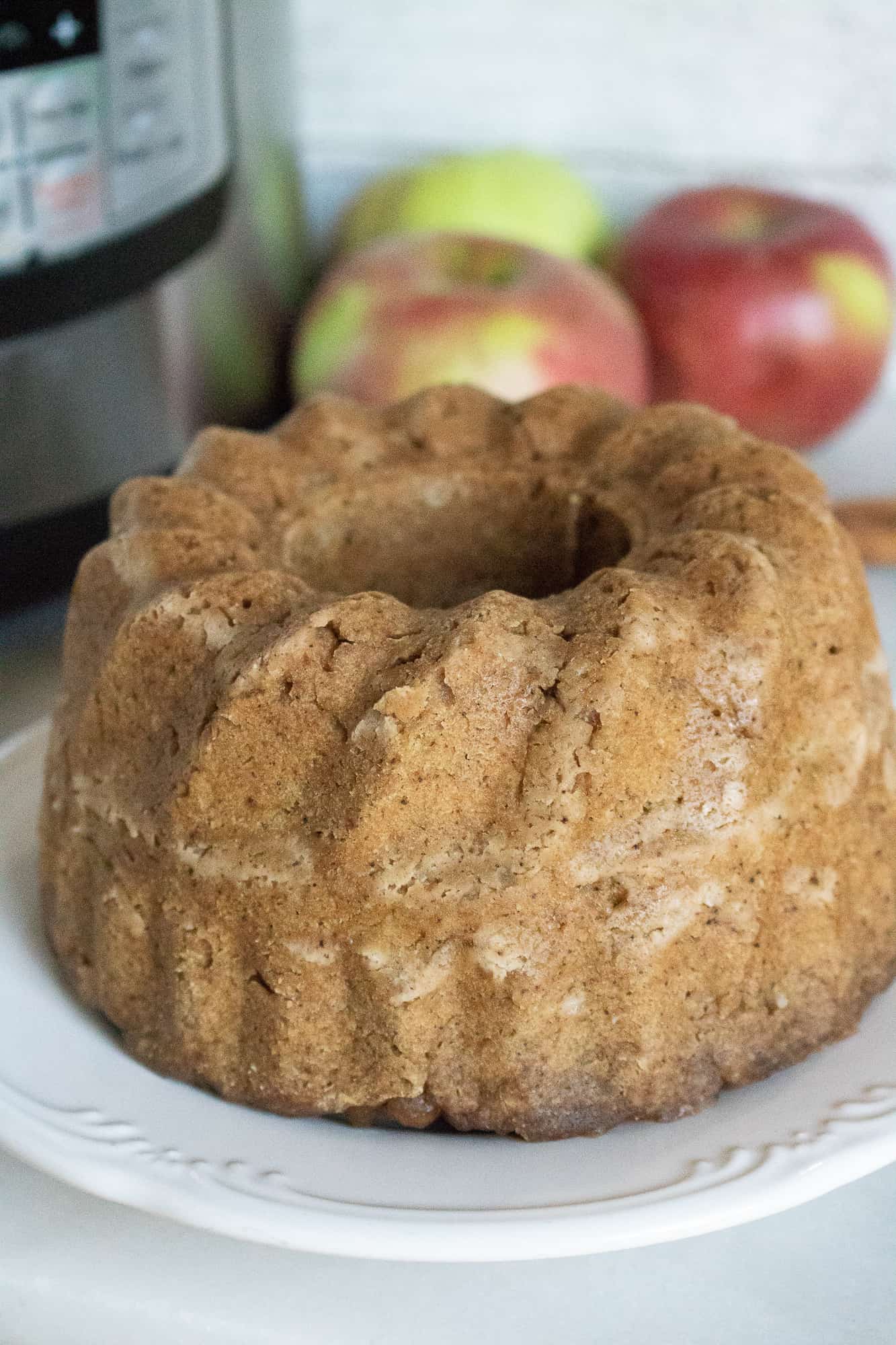 Instant Pot Applesauce Cake