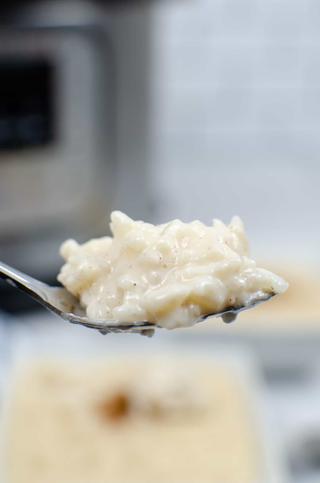spoonful of old fashioned rice pudding