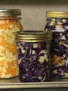 fermented cabbage in jars
